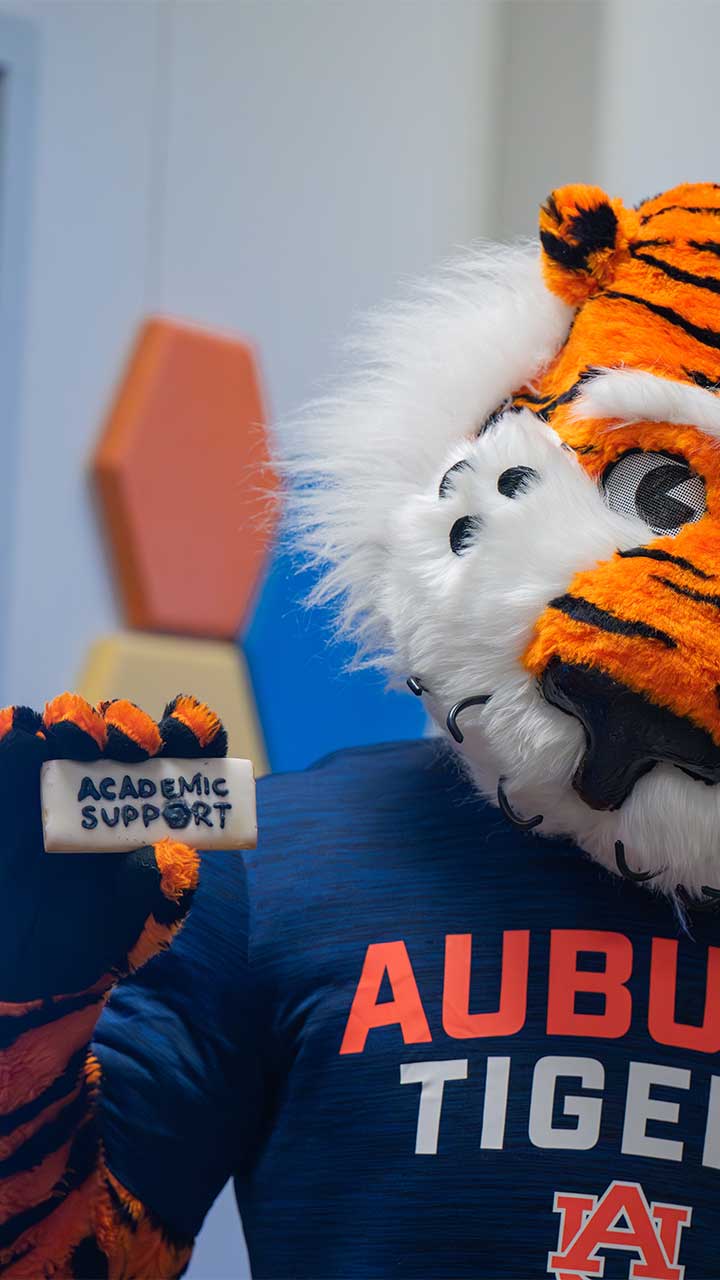 Academic Support Students working