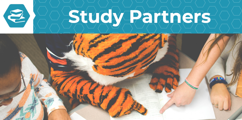 Study Partners - Webpage Header